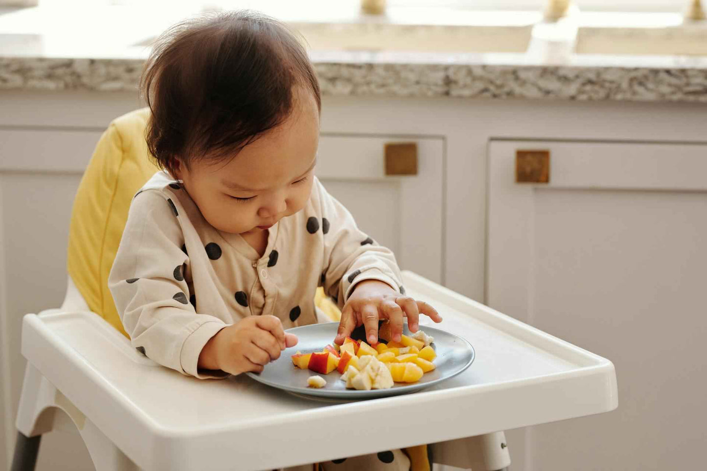 Boite doseuse lait | NomadBaby